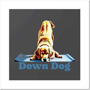 Golden Labrador doing the down dog yoga pose Posters and Art